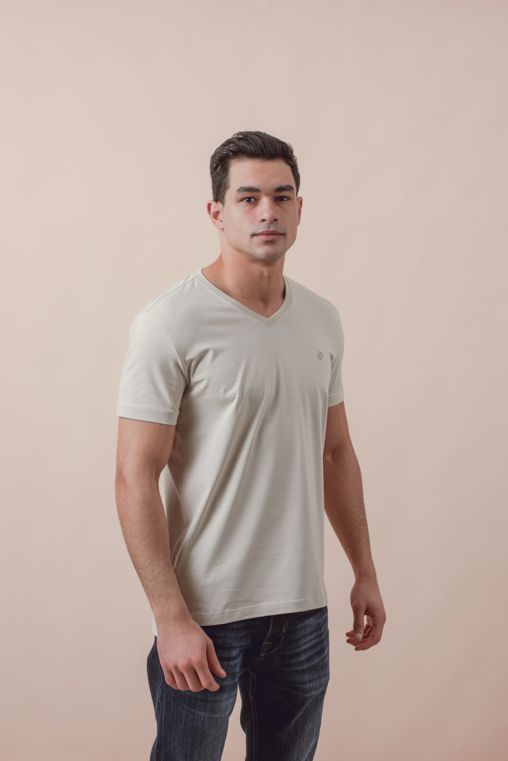 Cotton V-Neck Slim fit T-Shirt