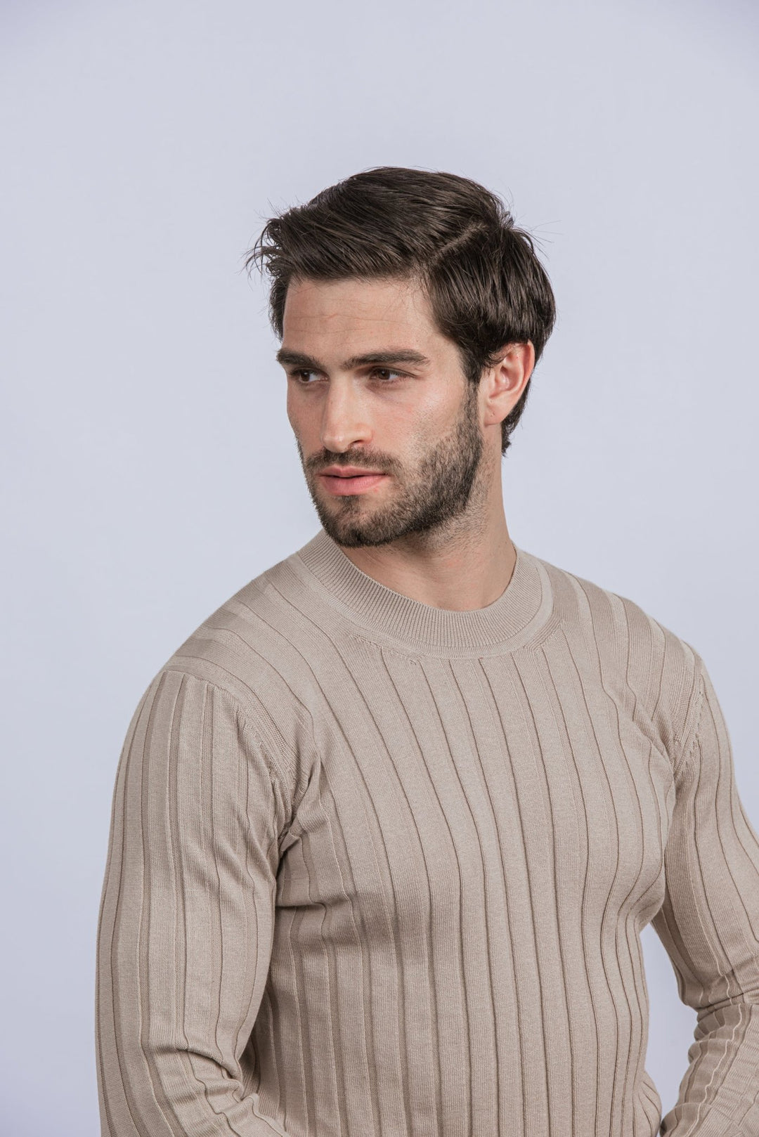 Cotton Ribbed knitted crewneck Pullover - Roban