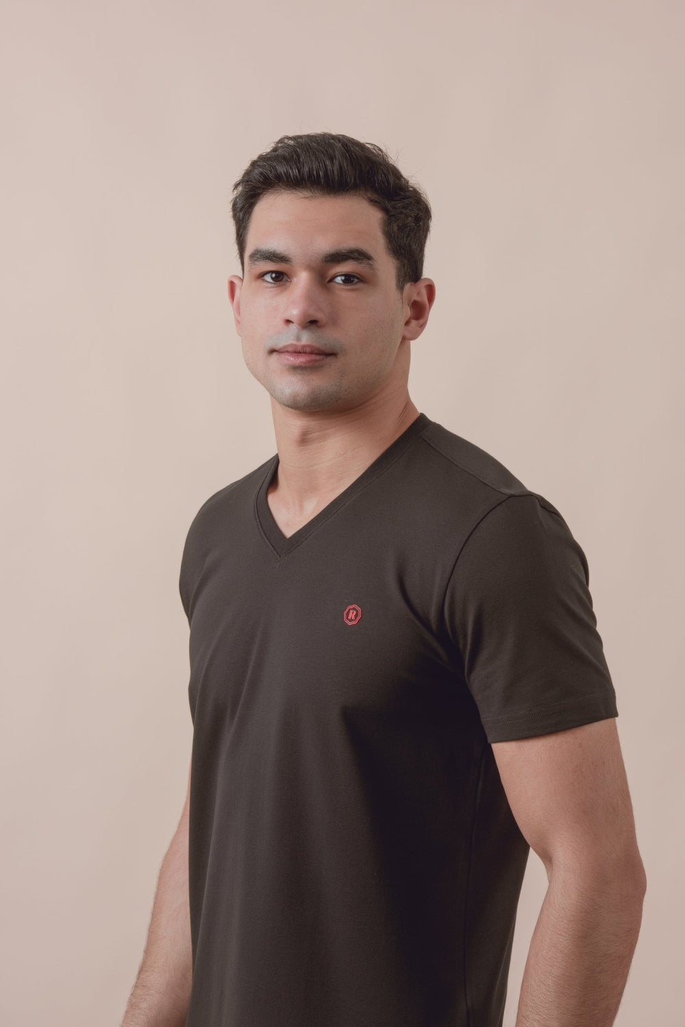 Cotton V - Neck Slim fit T-Shirt - Roban
