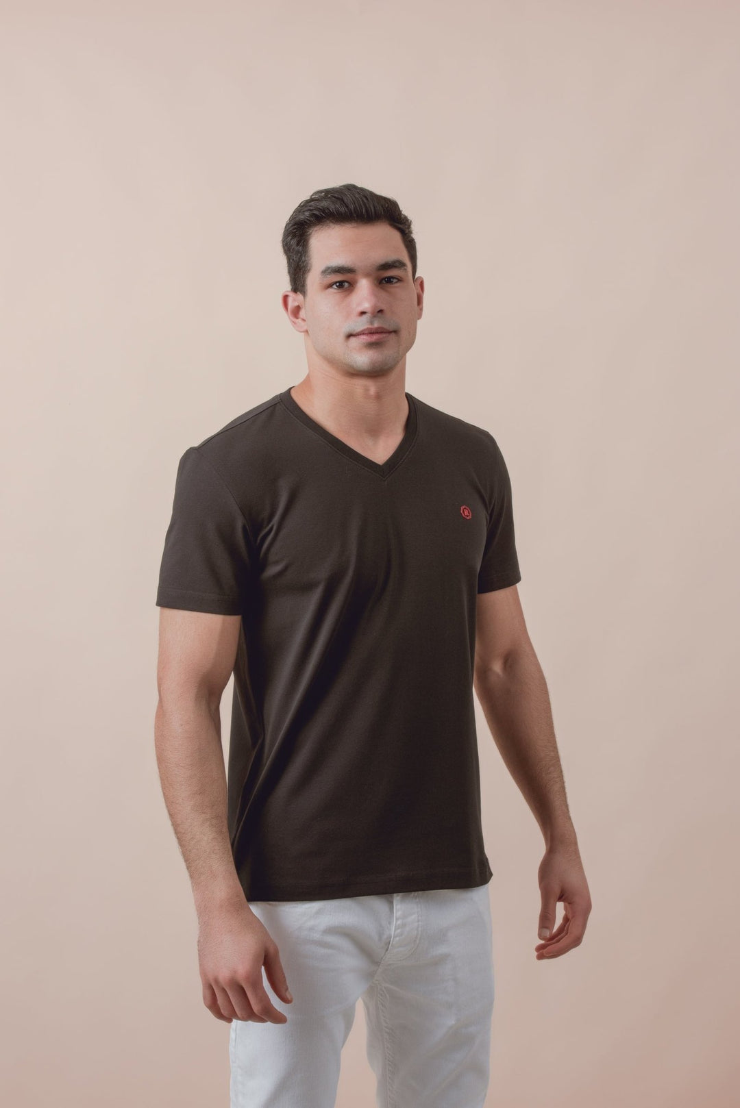 Cotton V - Neck Slim fit T-Shirt - Roban