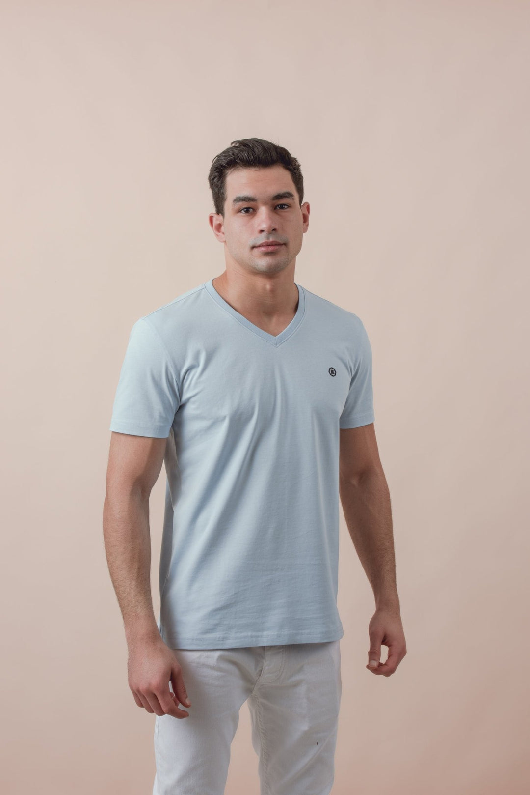 Cotton V - Neck Slim fit T-Shirt - Roban