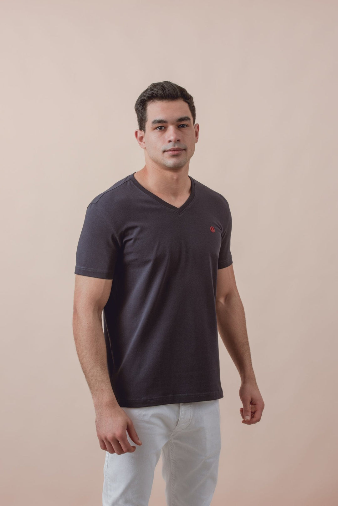 Cotton V - Neck Slim fit T-Shirt - Roban