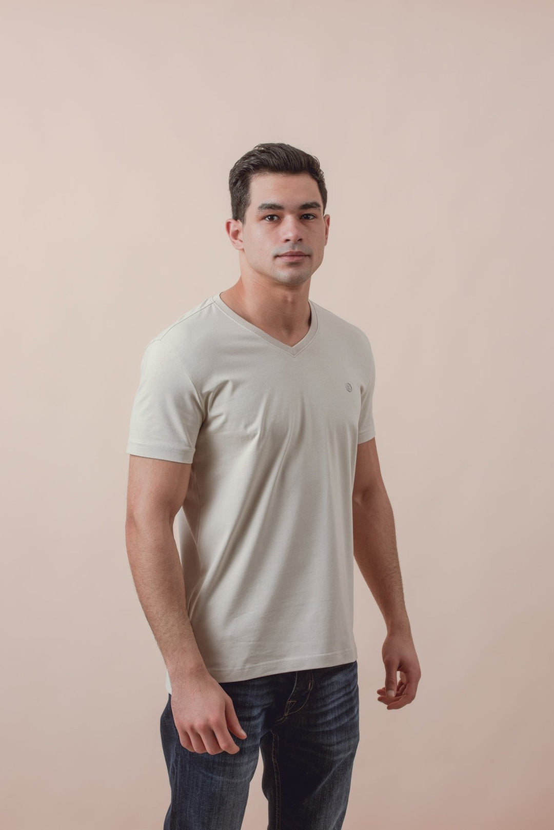 Cotton V - Neck Slim fit T-Shirt - Roban