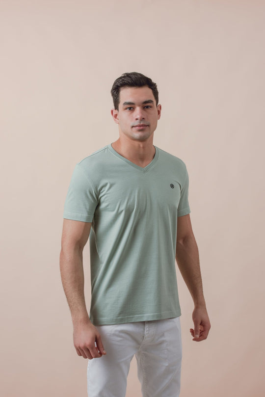Cotton V - Neck Slim fit T-Shirt - Roban