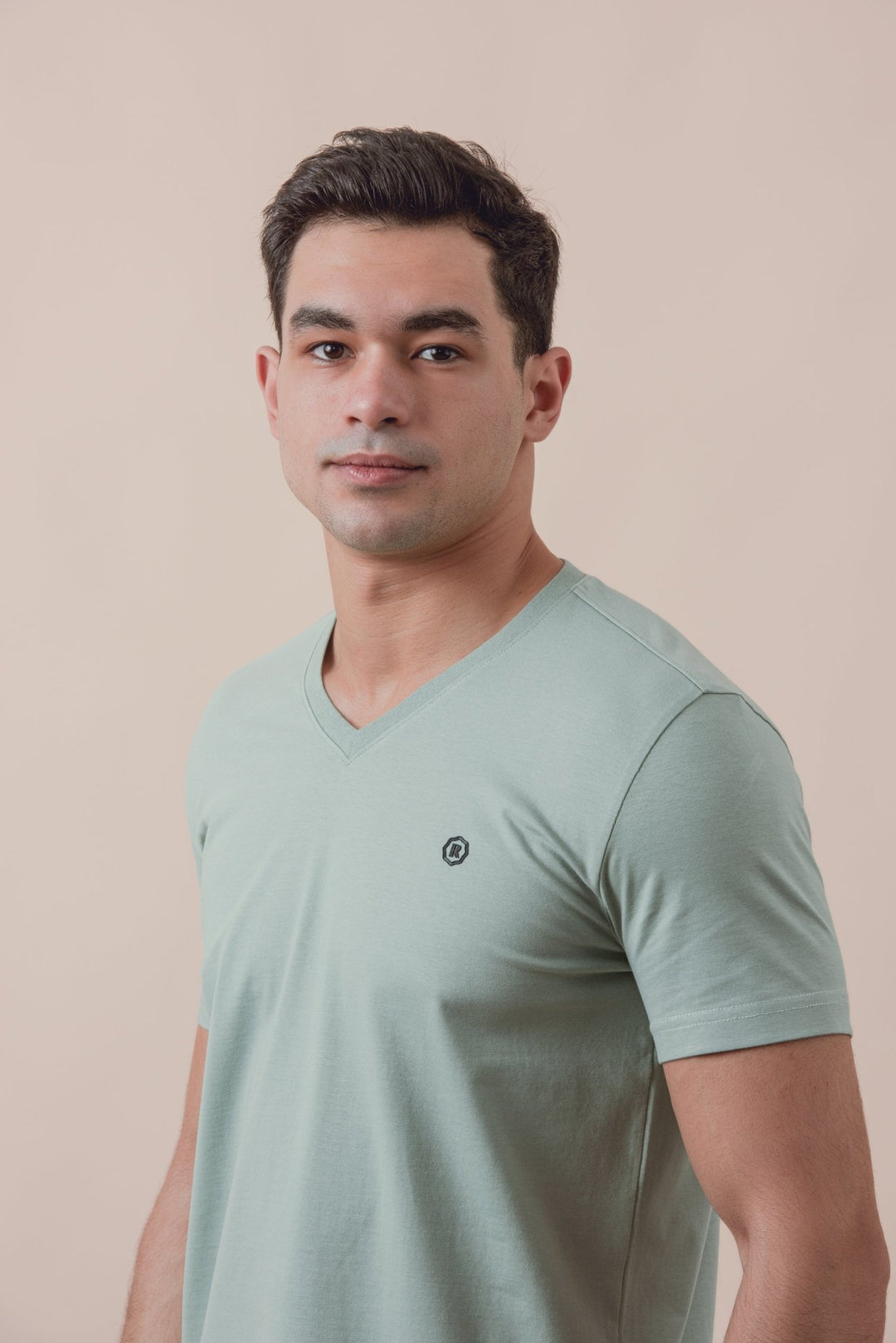 Cotton V - Neck Slim fit T-Shirt - Roban