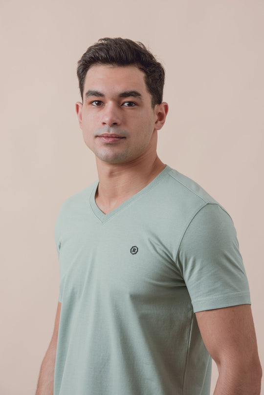 Cotton V - Neck Slim fit T-Shirt - Roban