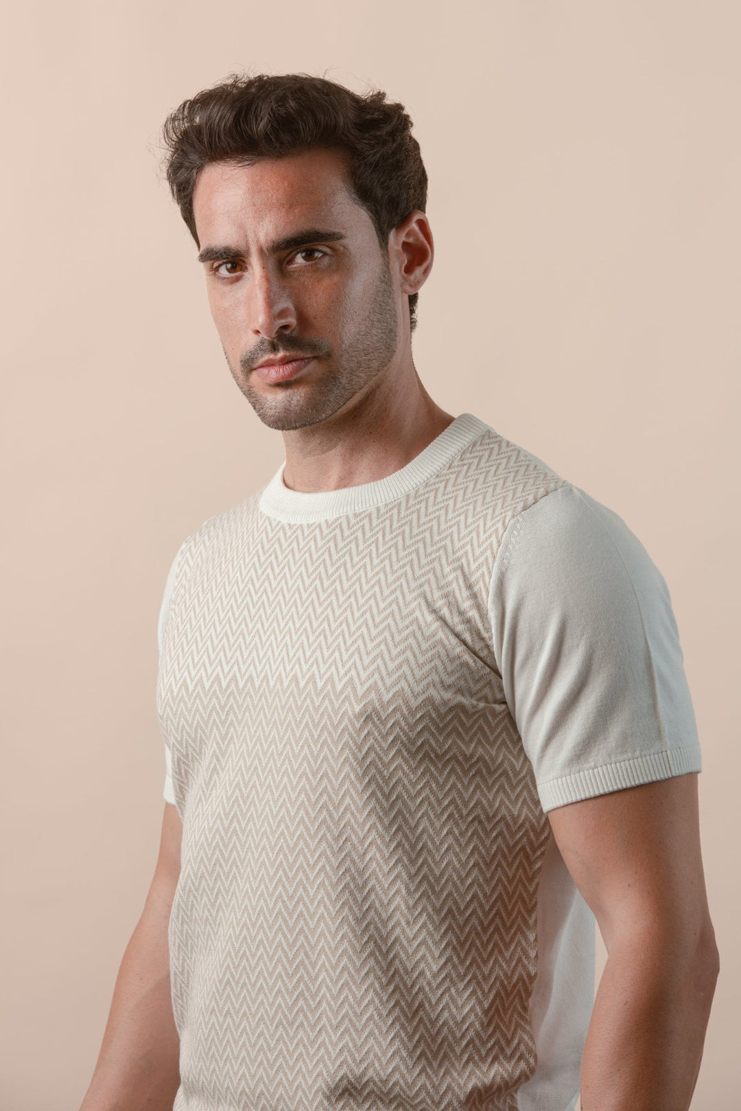 COTTON ZEGZAG STYLE KNITTED CREWNECK T - SHIRT - Roban