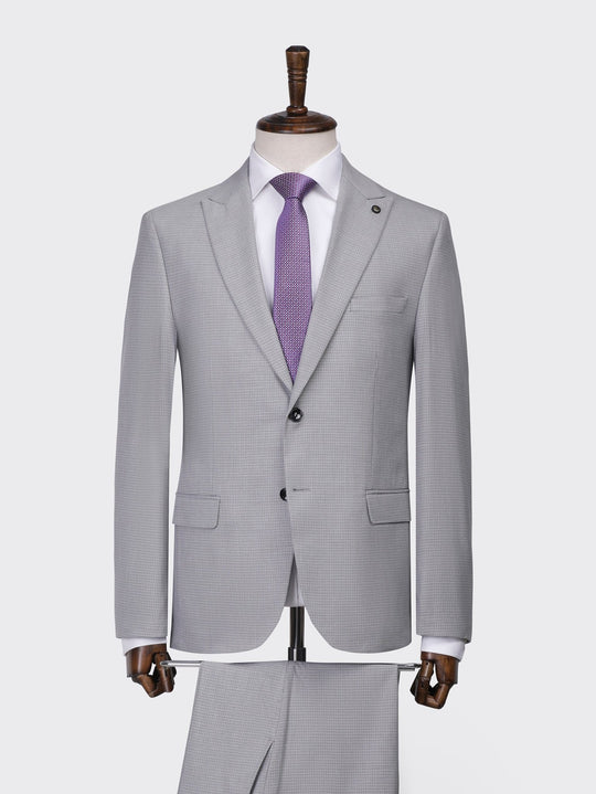 Grey Micro Checked Regular Fit Suit - Roban