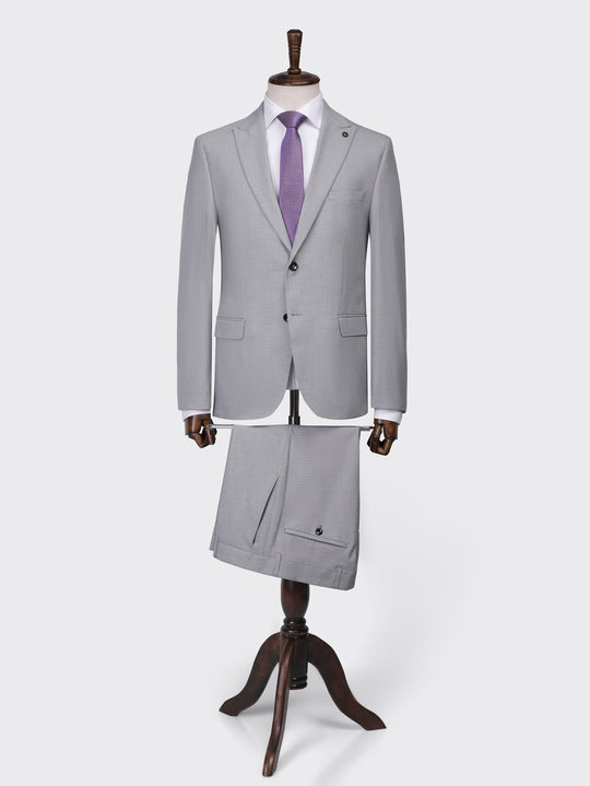 Grey Micro Checked Regular Fit Suit - Roban